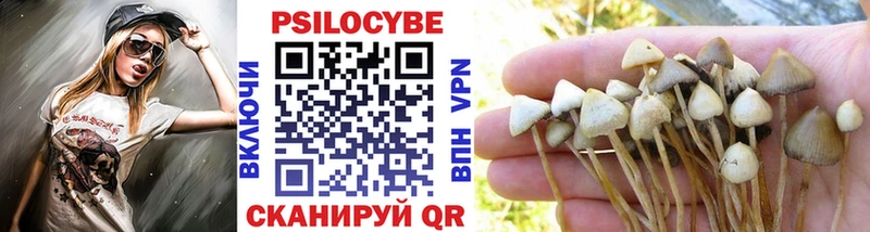 продажа наркотиков сайты даркнета клад Галлюциногенные грибы Magic Shrooms Сухой Лог